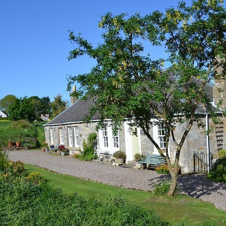 Balmungo Cottage B&B Сент-Андрус Экстерьер фото